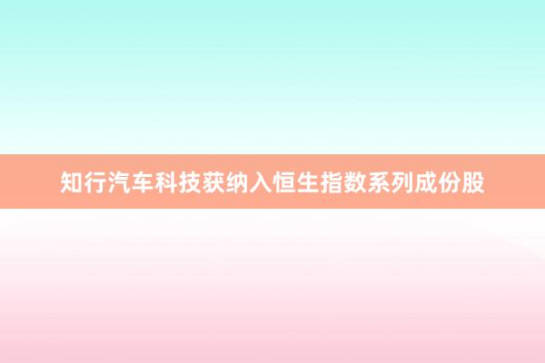 知行汽车科技获纳入恒生指数系列成份股